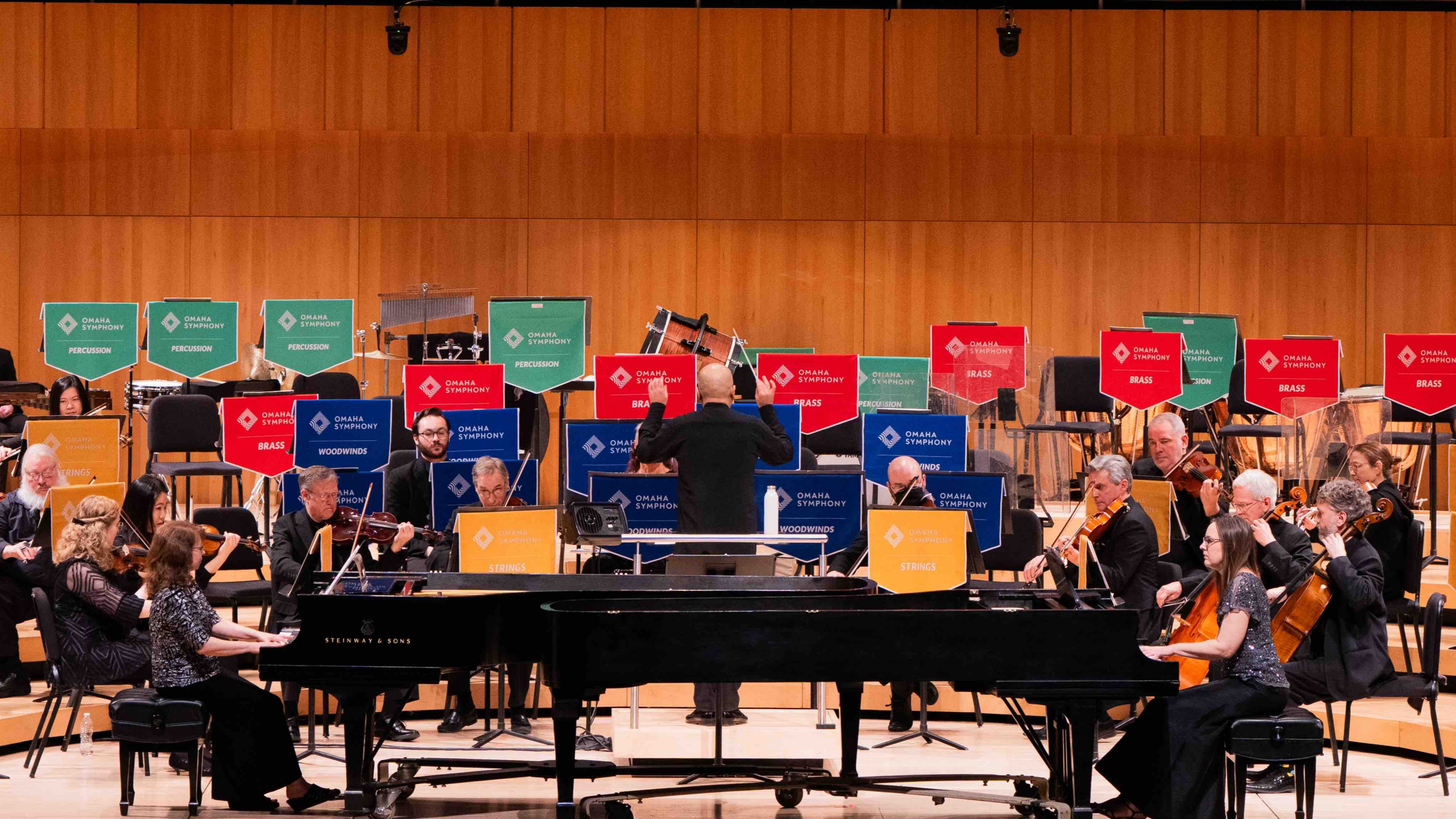 Saint-Saëns x Carnival of the Animals