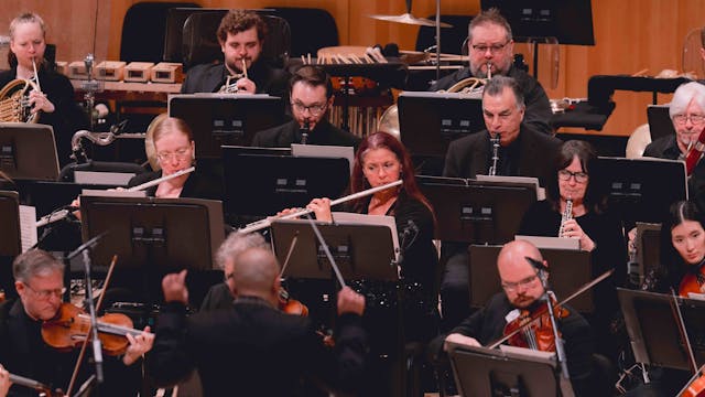 II. Allegro con grazia