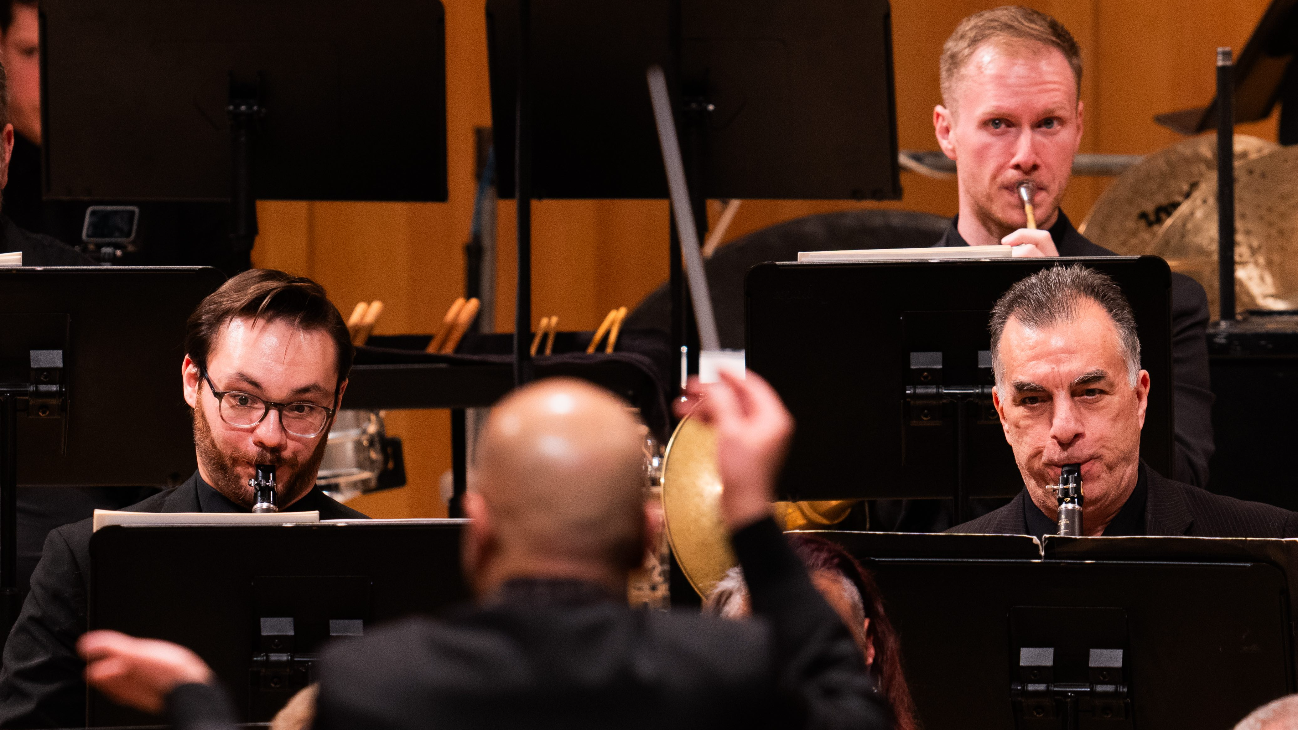 III. The Young Prince and Princess