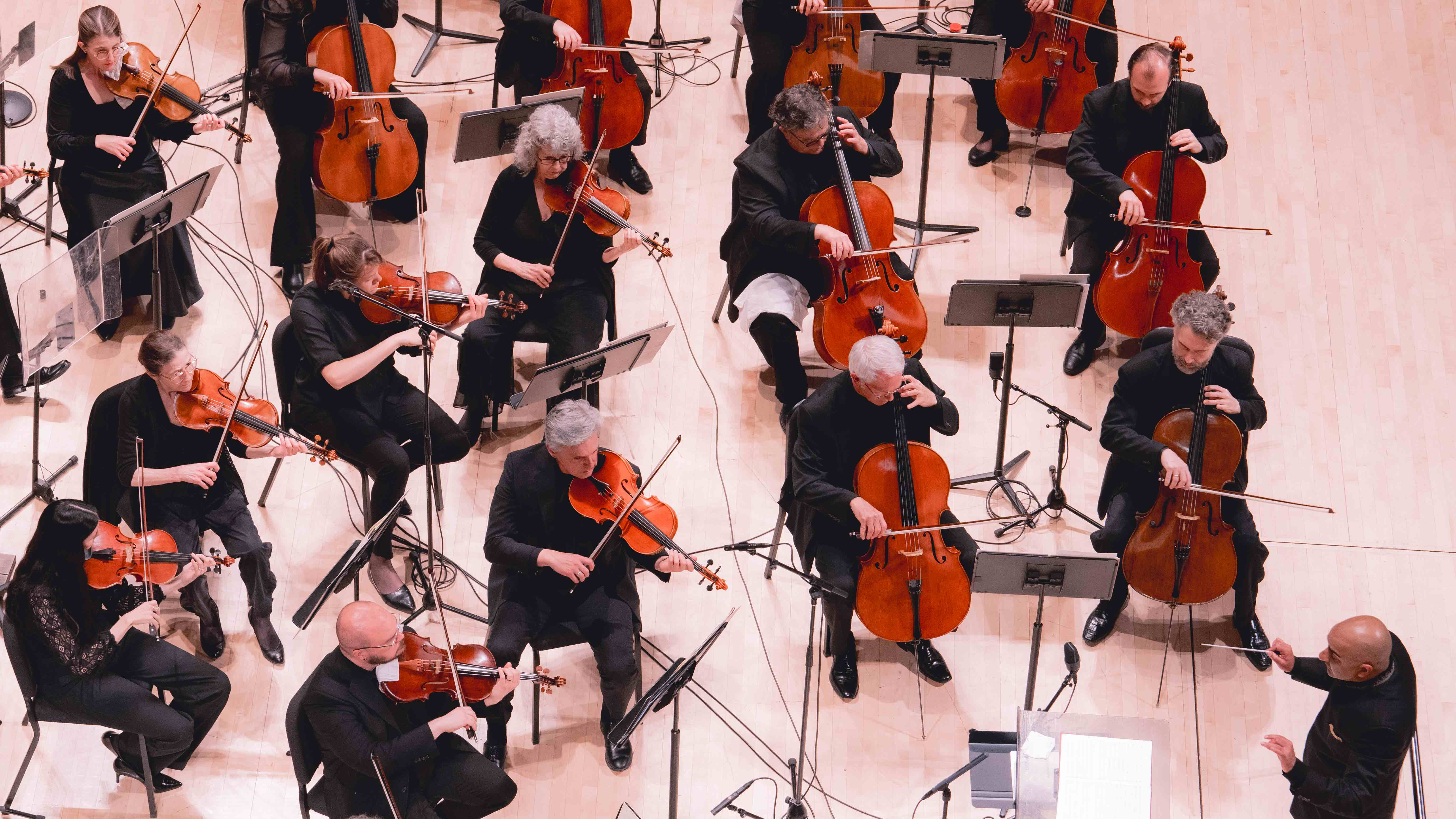 III. Allegro molto vivace