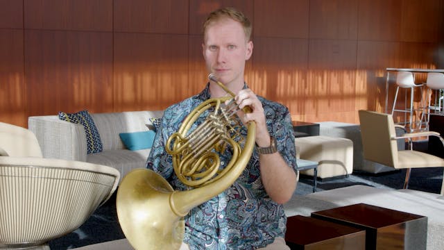 Meet the Horn