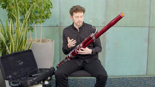 Meet the Bassoon