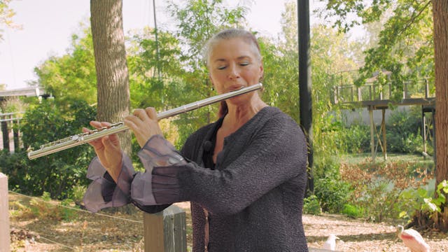 The Aviary & The Flute