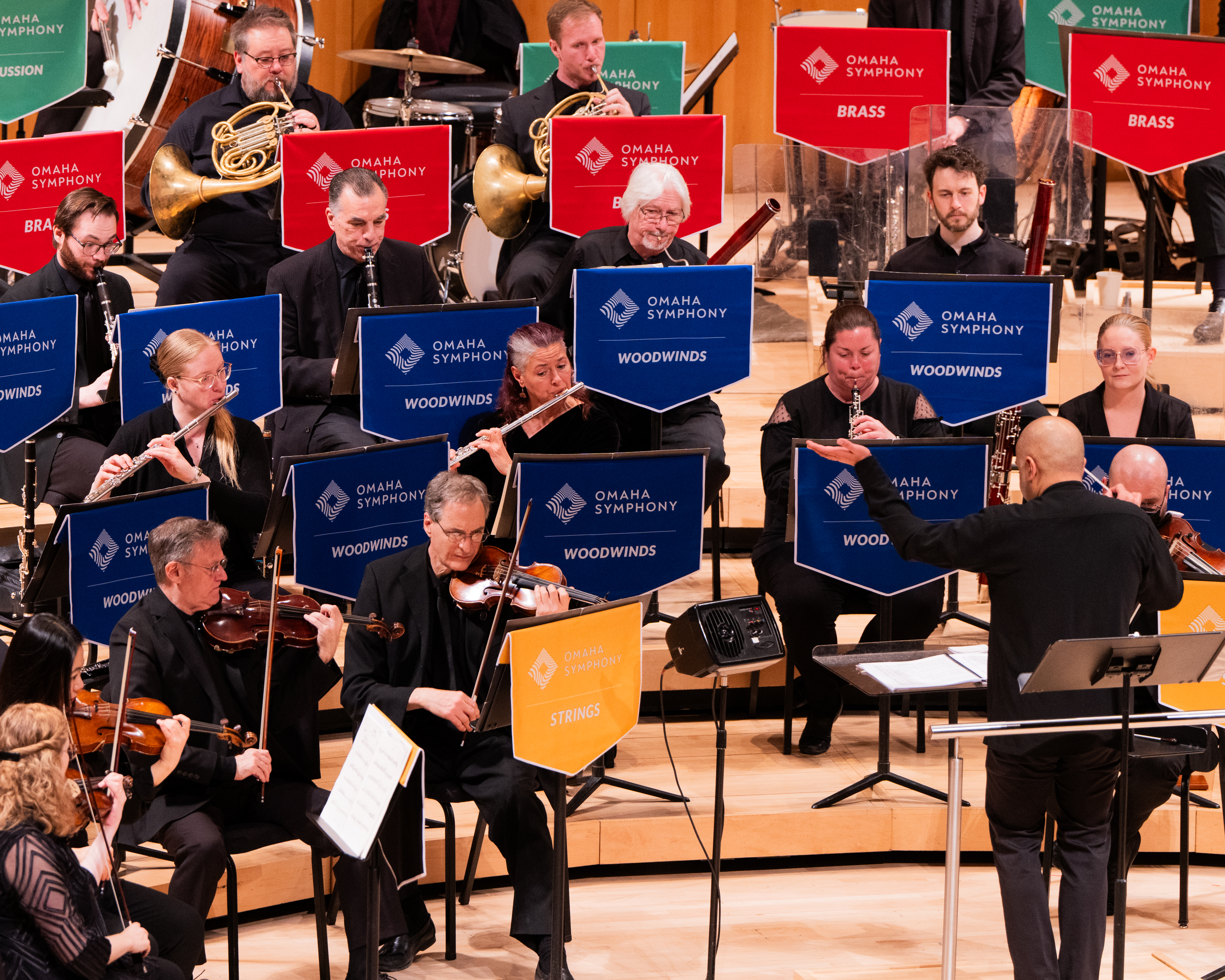 Saint-Saëns x Carnival of the Animals (Full Piece)