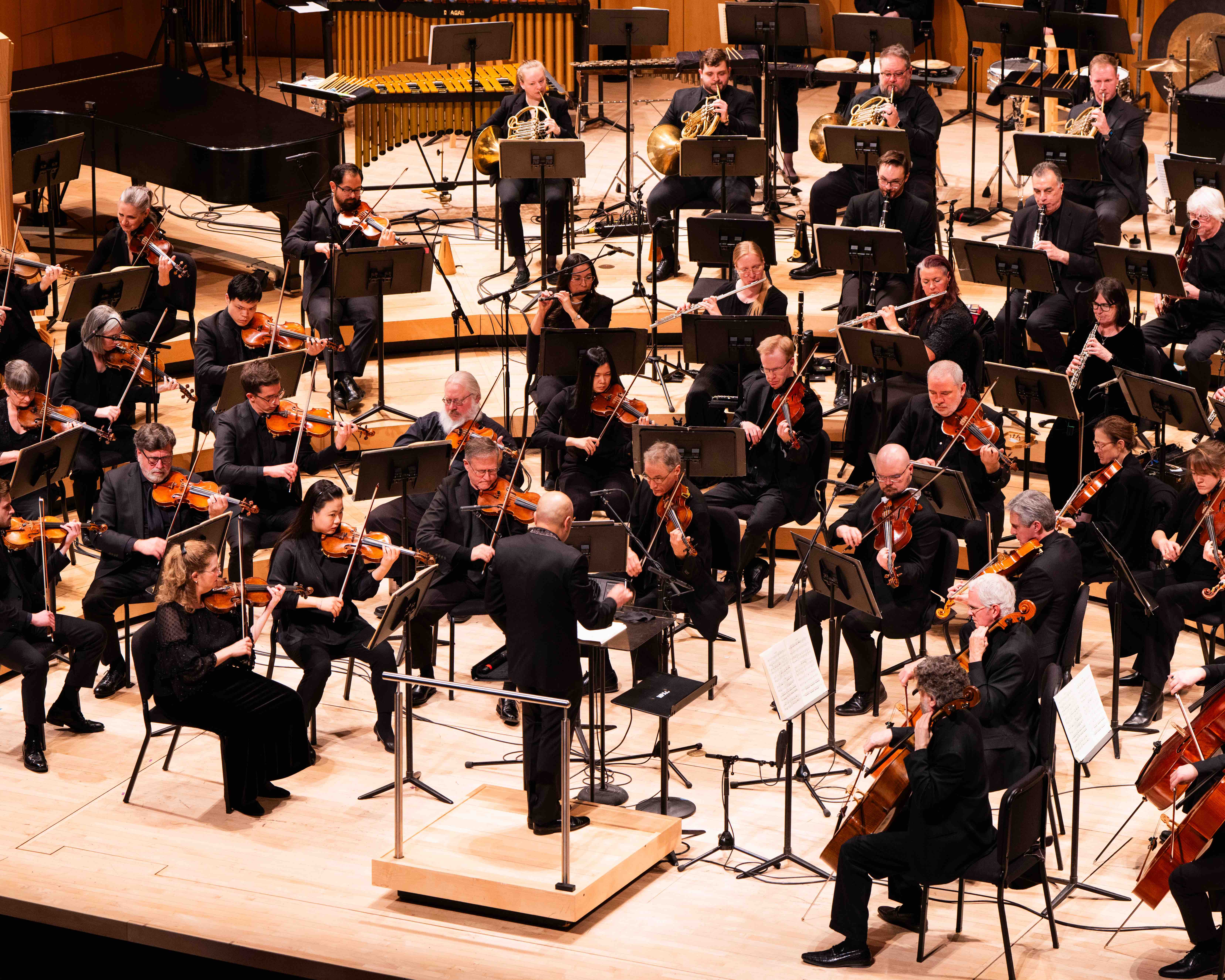 Rimsky-Korsakov x Scheherazade (Full Piece)