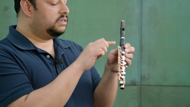 Meet the Piccolo