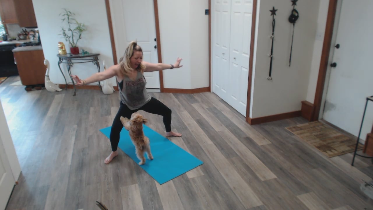 OMnia Yoga #16