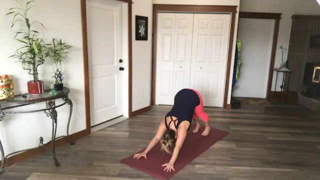 OMnia Flow · 17 Min Quick Reset