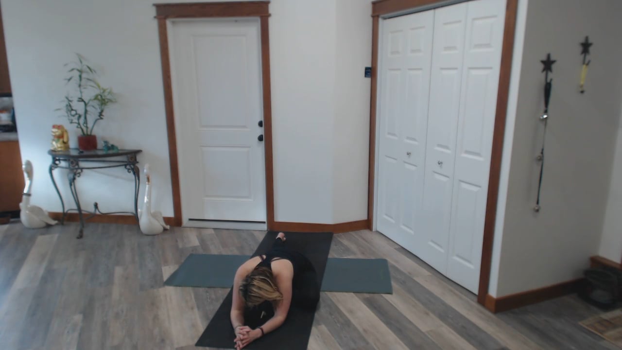 Beginners OMnia Yoga #15