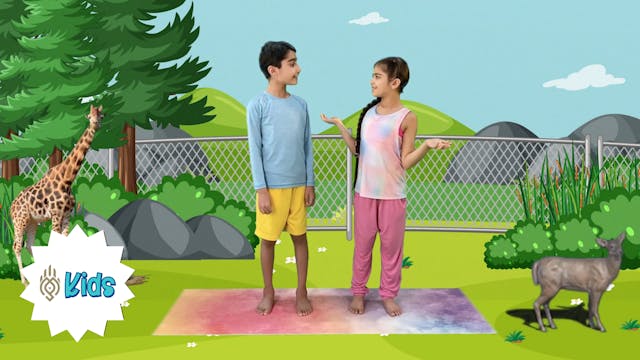 Introduction To Mindfulness | An OM W...