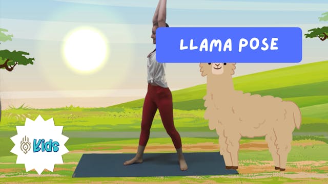 How To Practice Llama Pose | An OM Wa...