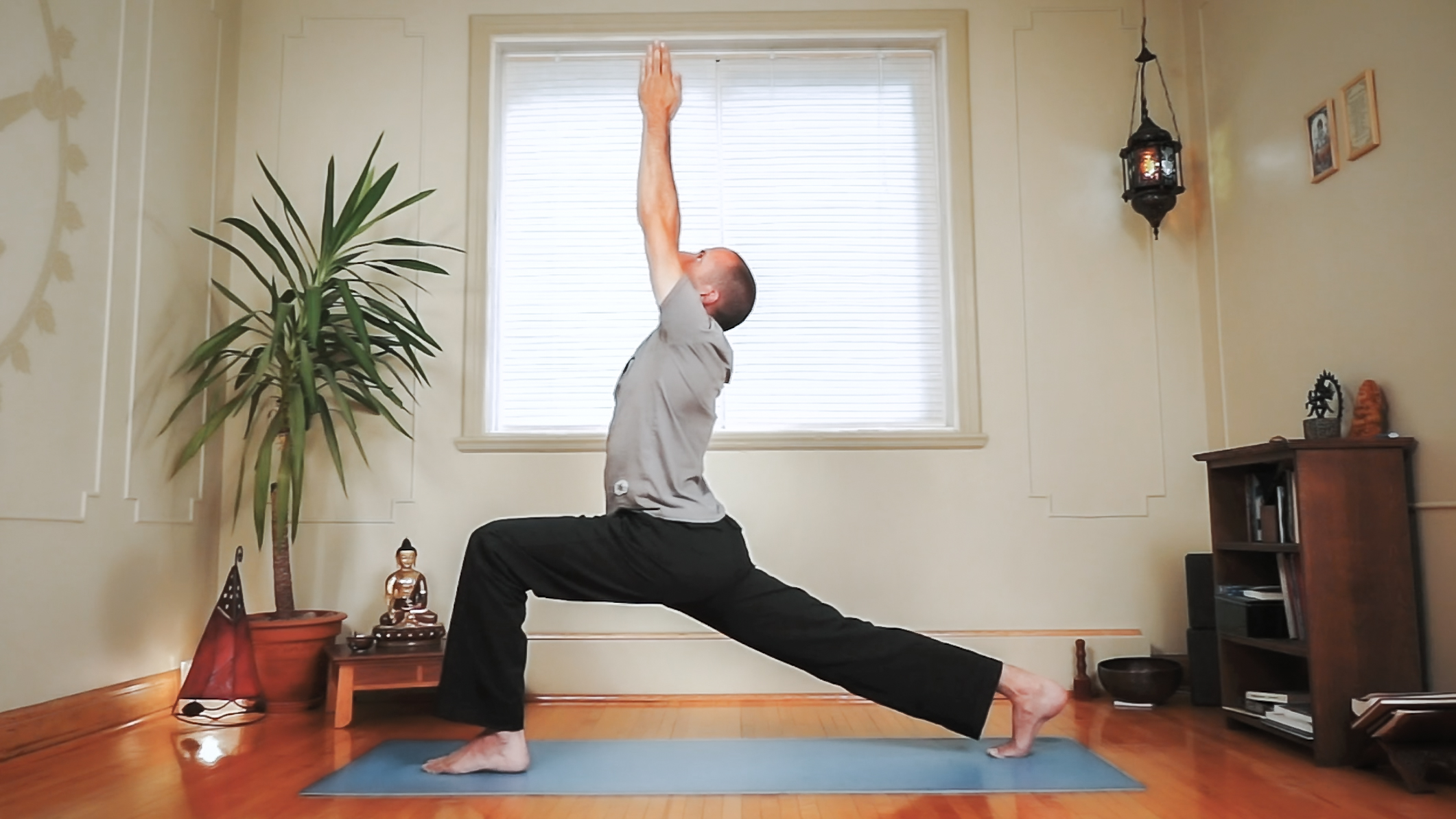 Classes pratiques - Hatha Yoga et Vinyasa