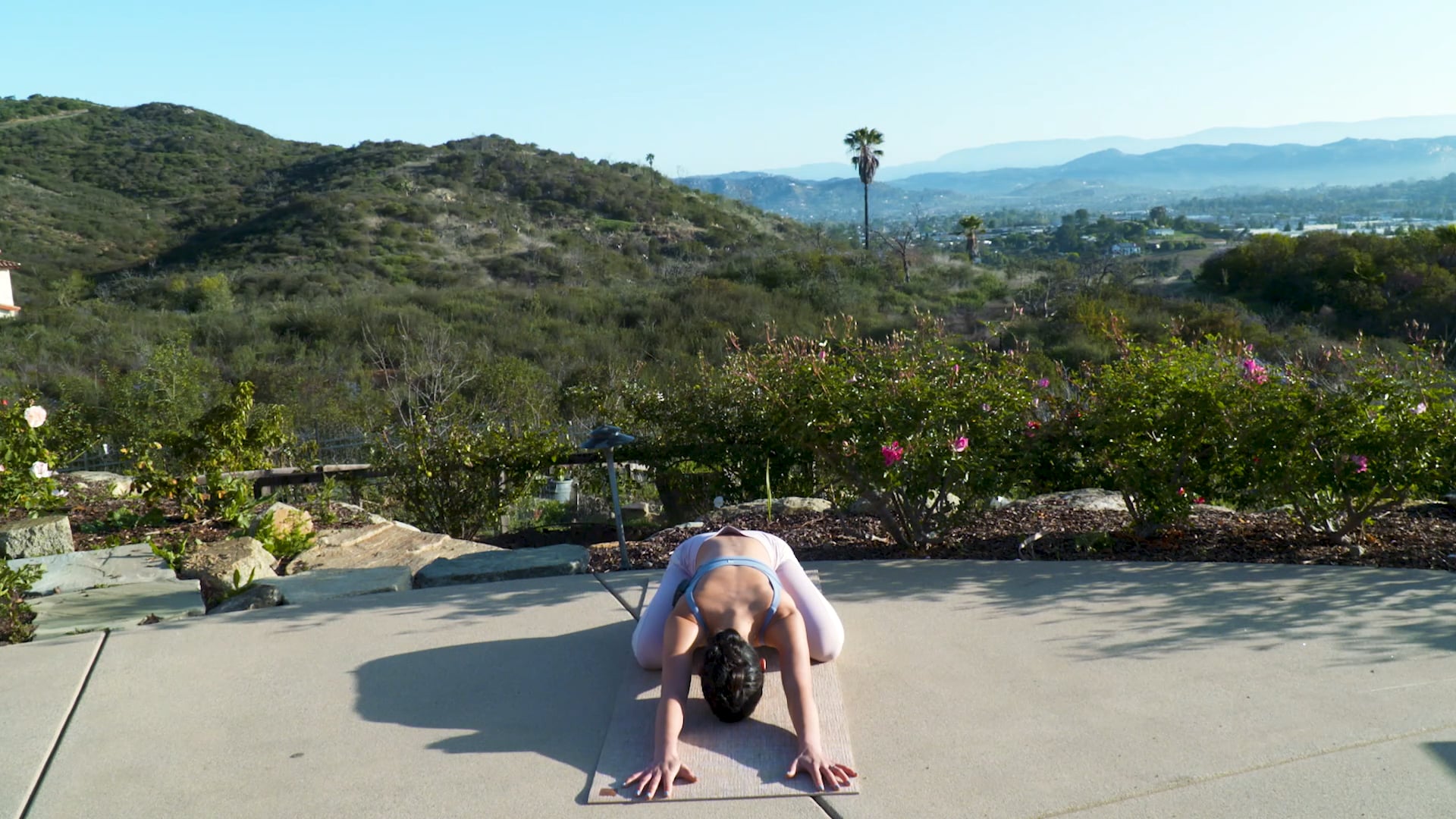 Morning Low Back & Core Flow | Katie Kasten