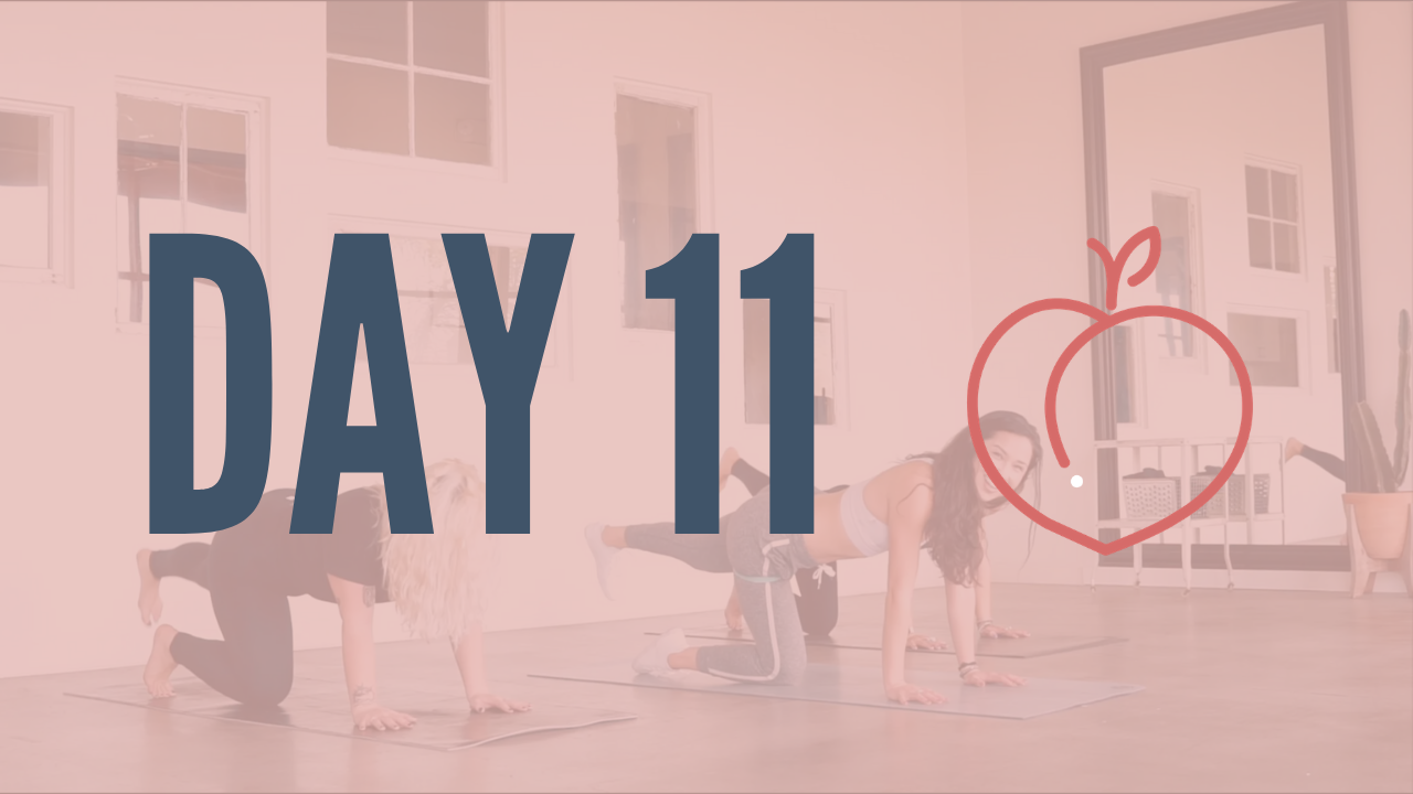 Day 11 | Booty n' Bandz