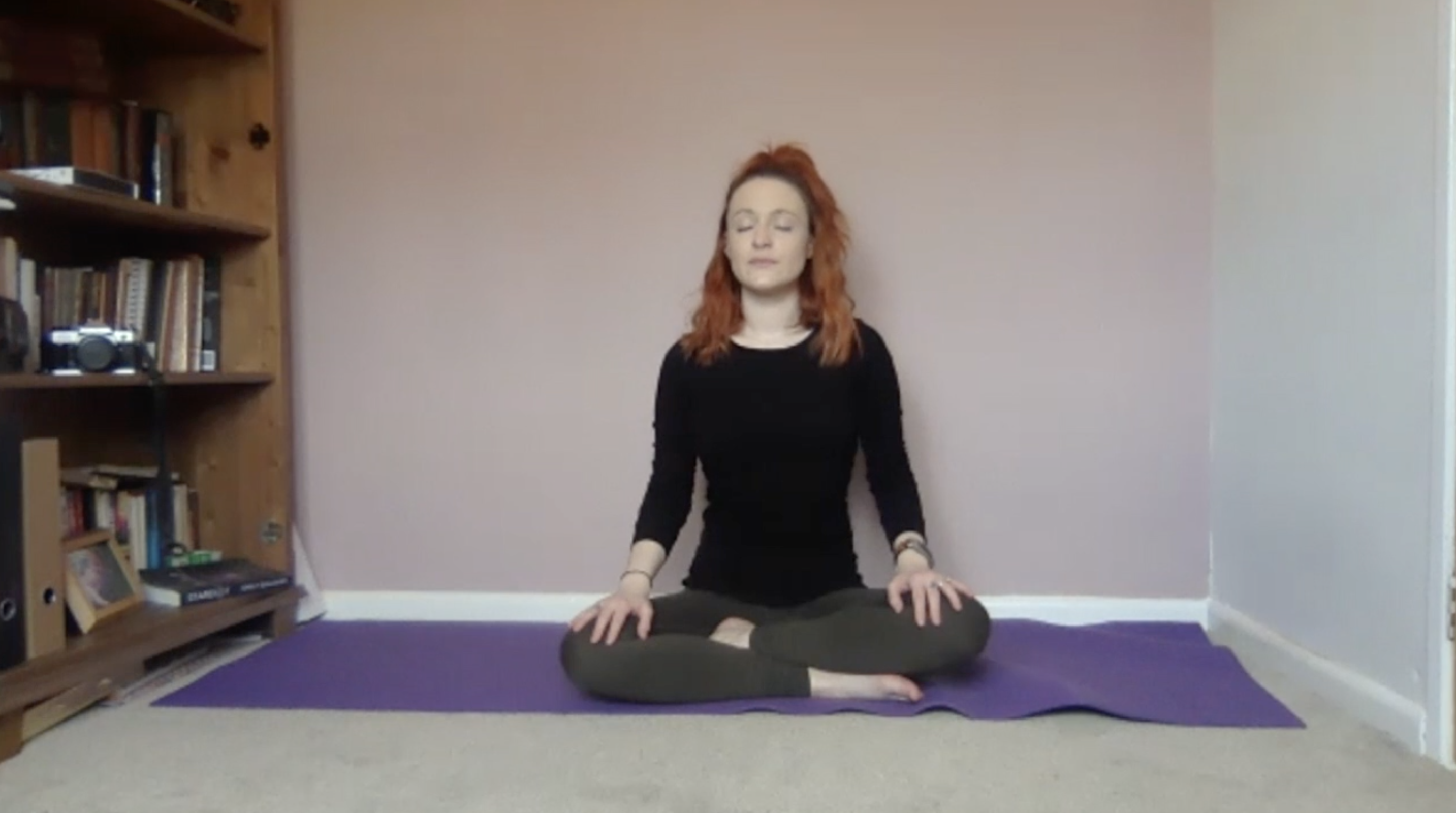 Pelvic Floor and Core Workout