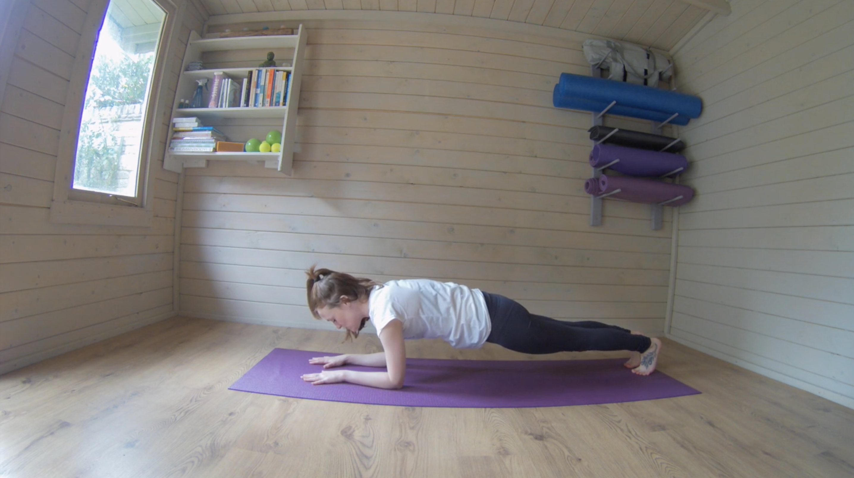 Alignment & Strength