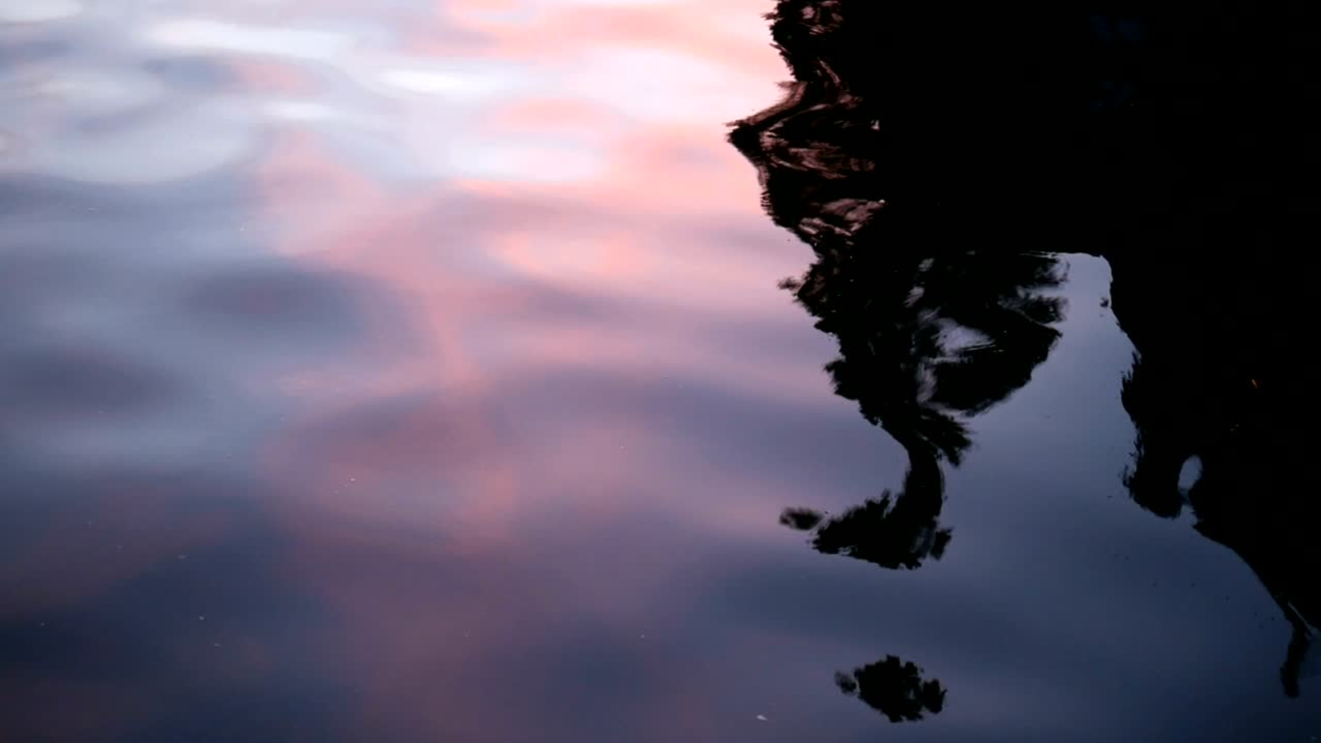 Loving Kindness Meditation