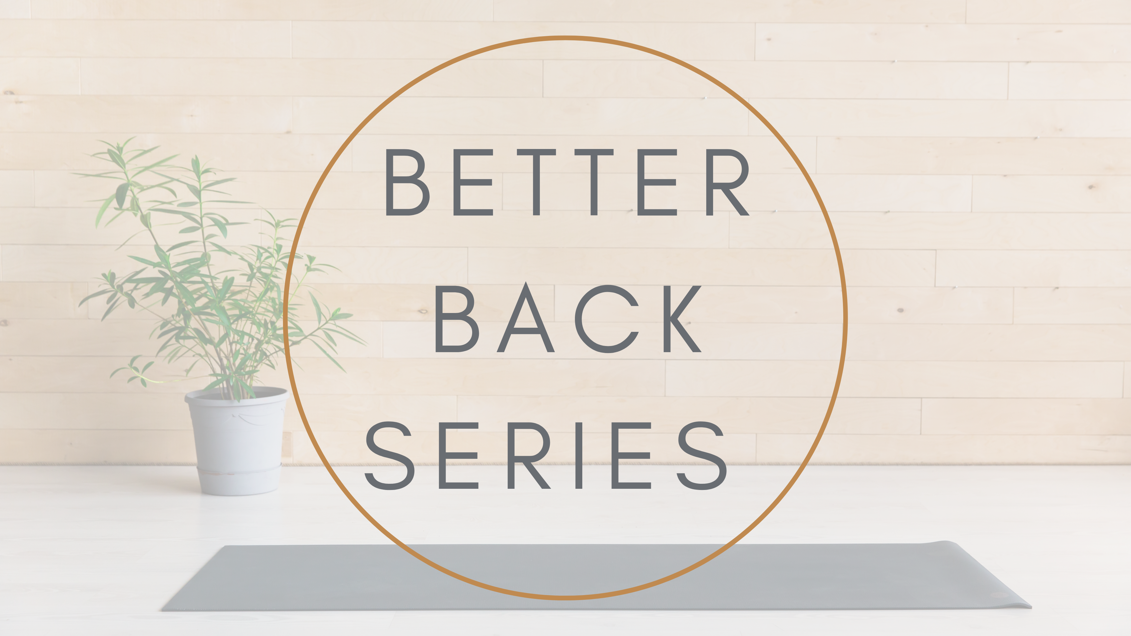 Better Back Series