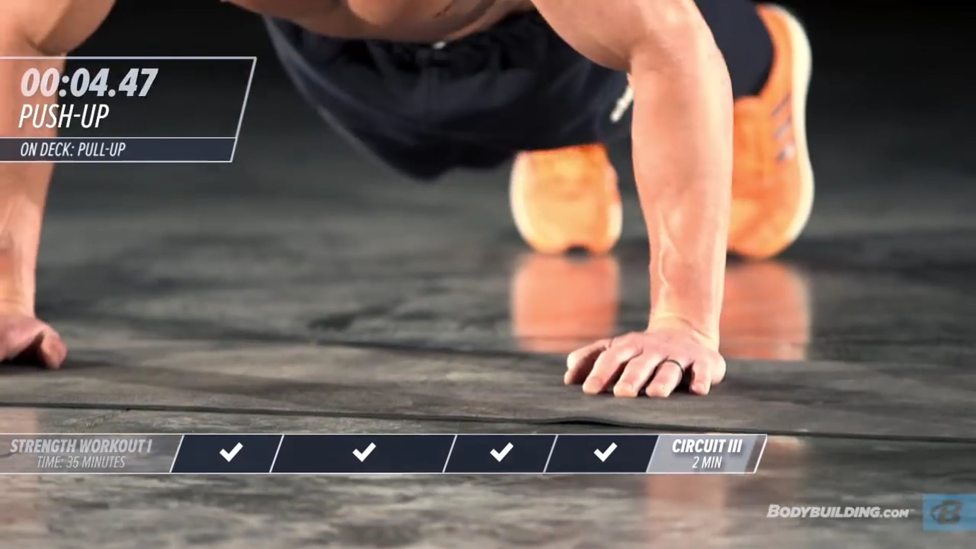 INTERPLUS Video