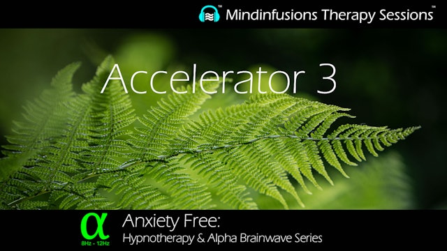 Accelerator 3 (ANXIETY FREE: Hypnotherapy & ALPHA)
