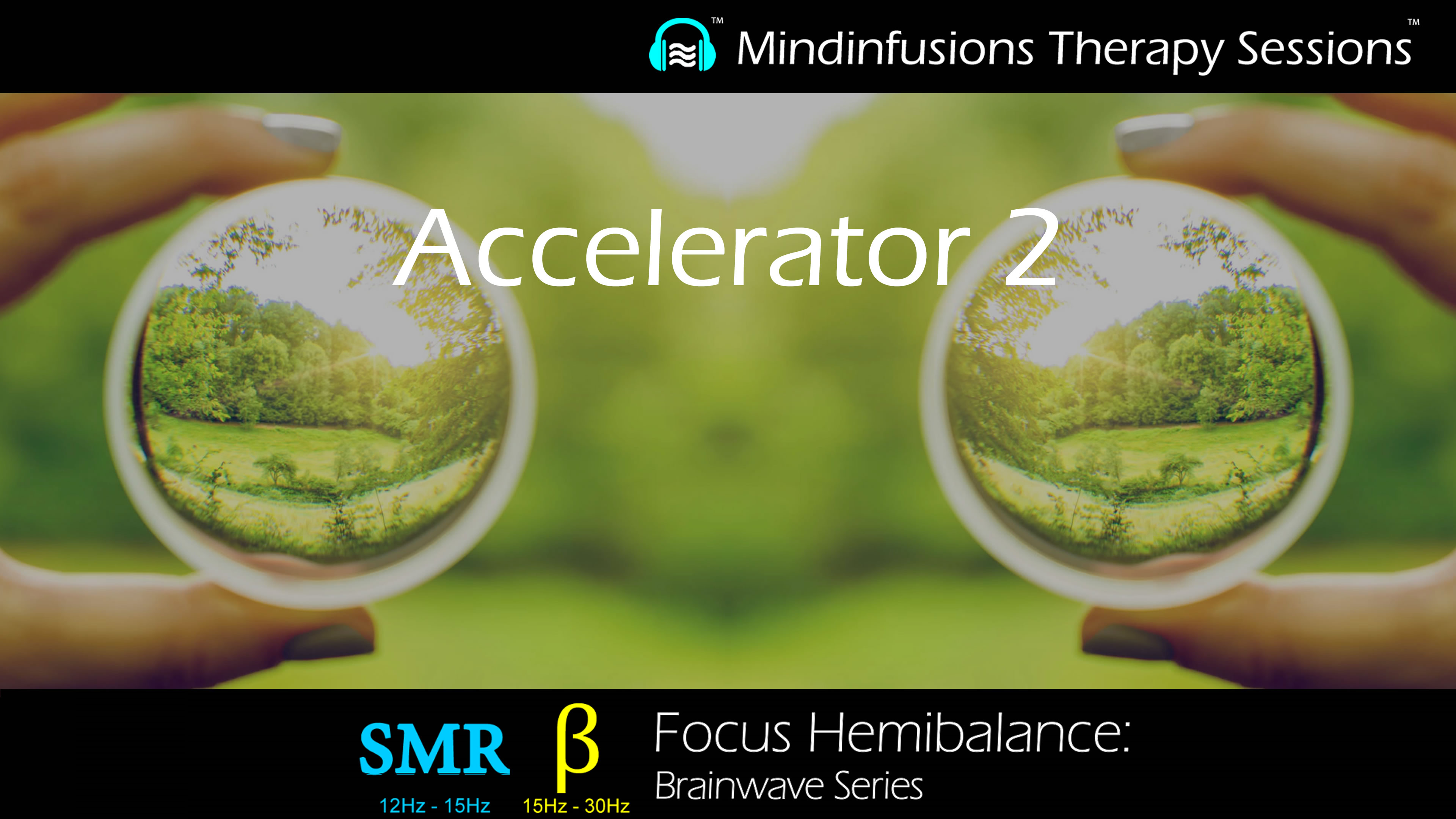 Accelerator 2 (FOCUS HEMIBALANCE)