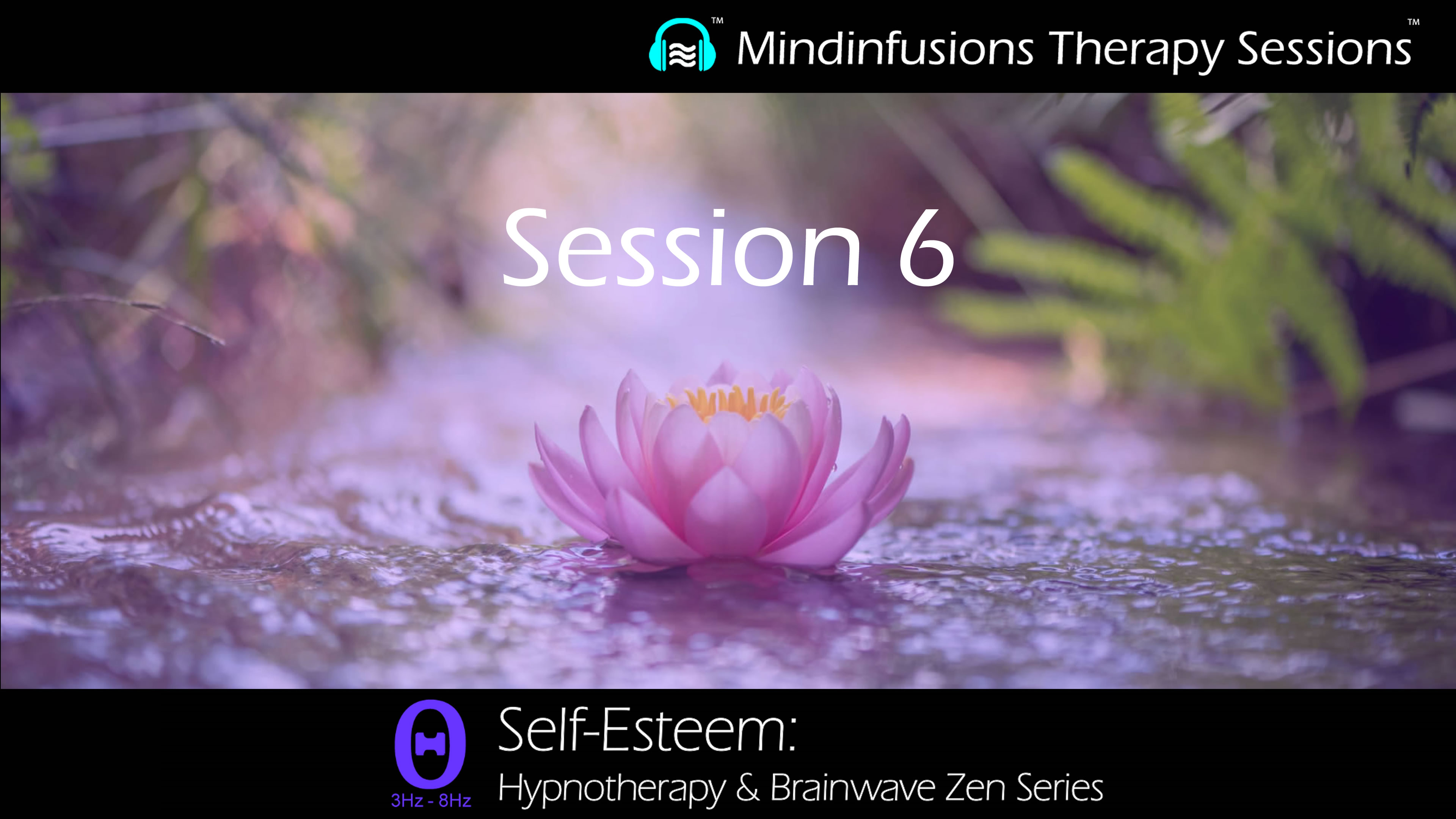 Session 6 (SELF-ESTEEM: Hypnotherapy & Brainwave Zen)