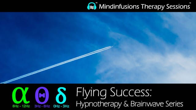 FLYING SUCCESS: Hypnotherapy & Brainwave Series