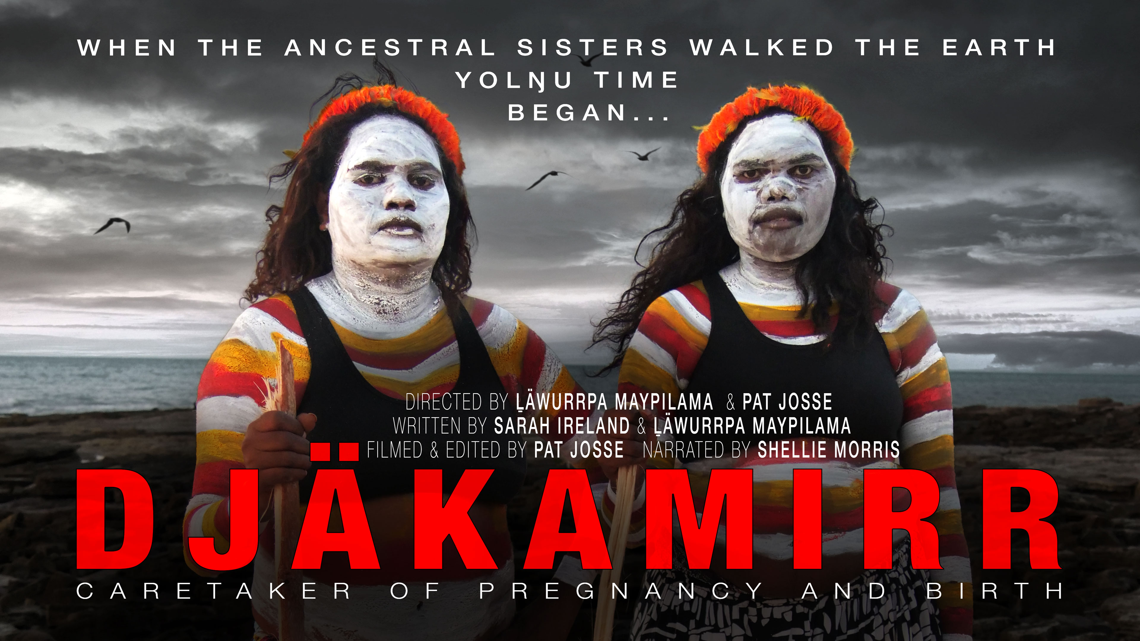 PUBLIC/GROUP SCREENING LICENSE: DJÄKAMIRR