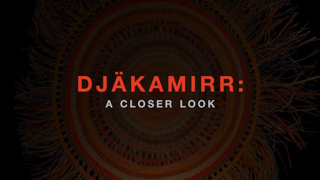 DJÄKAMIRR: a closer look