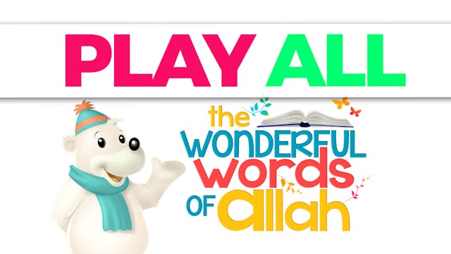 Wonderful Words of Allah Collection