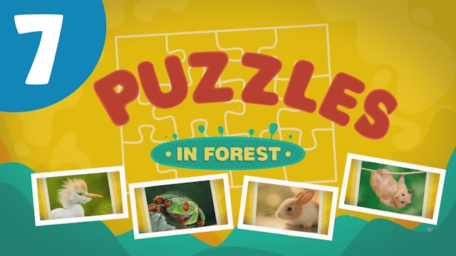 Puzzles in the Forest (ep7) Let's try and solve five different puzzles!