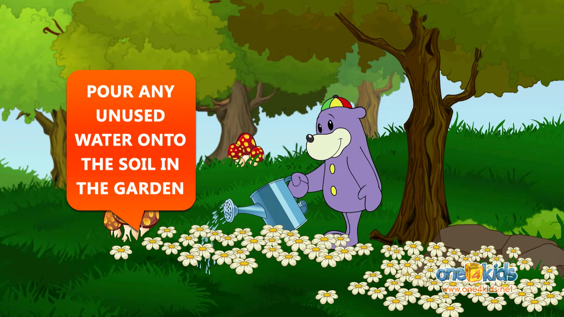 Water - An amazing creation