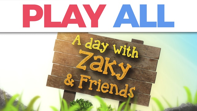 A Day With Zaky & Friends Collection