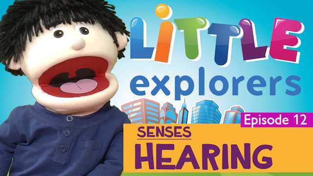 Little Explorers - Senses Hearing