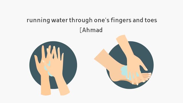 Sunnahs of Wudu