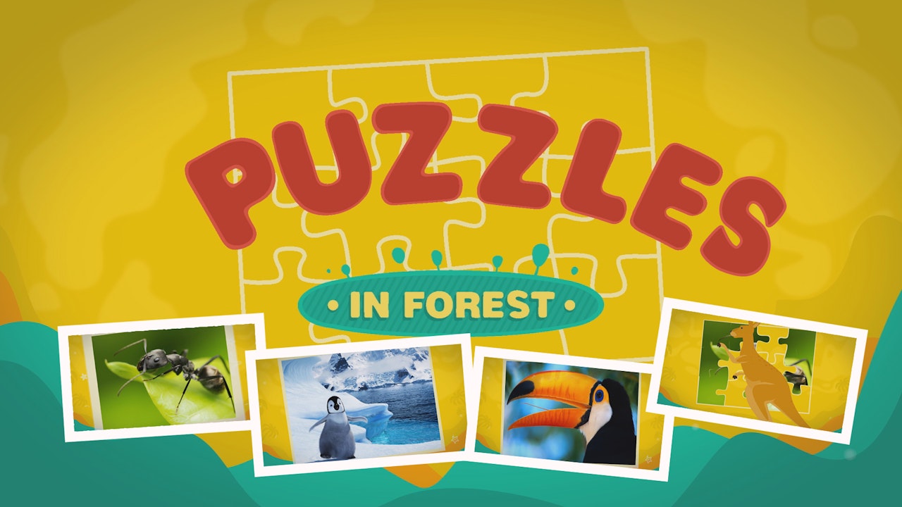 Puzzles In The Forest