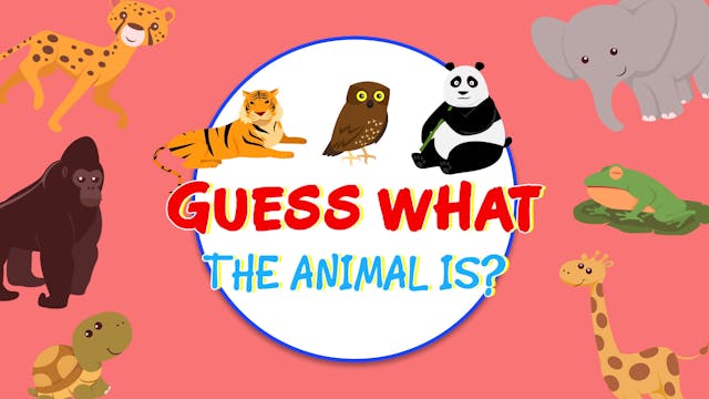 Guess What The Animal is? - EP7