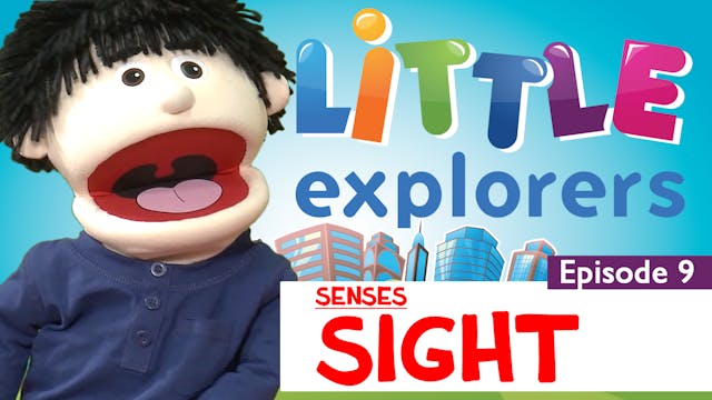 Little Explorers - Senses Sight