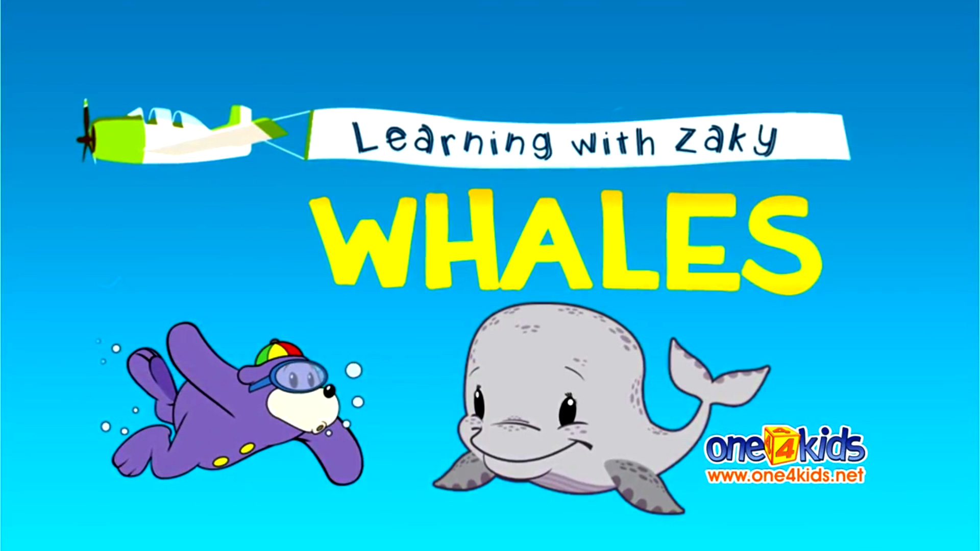 Learn About Whales