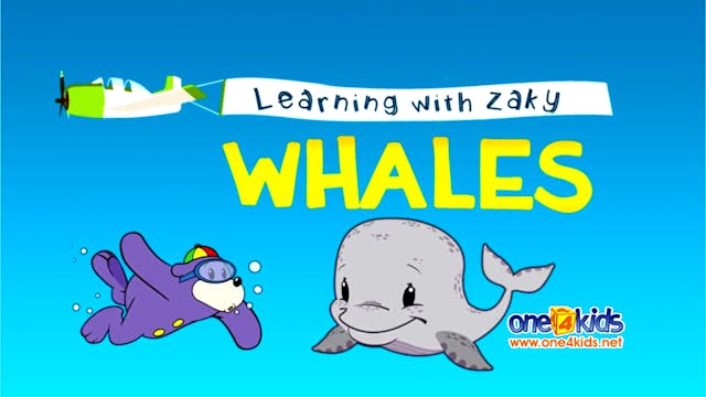 Learn About Whales