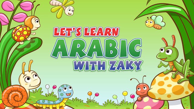 Learn Insects in Arabic