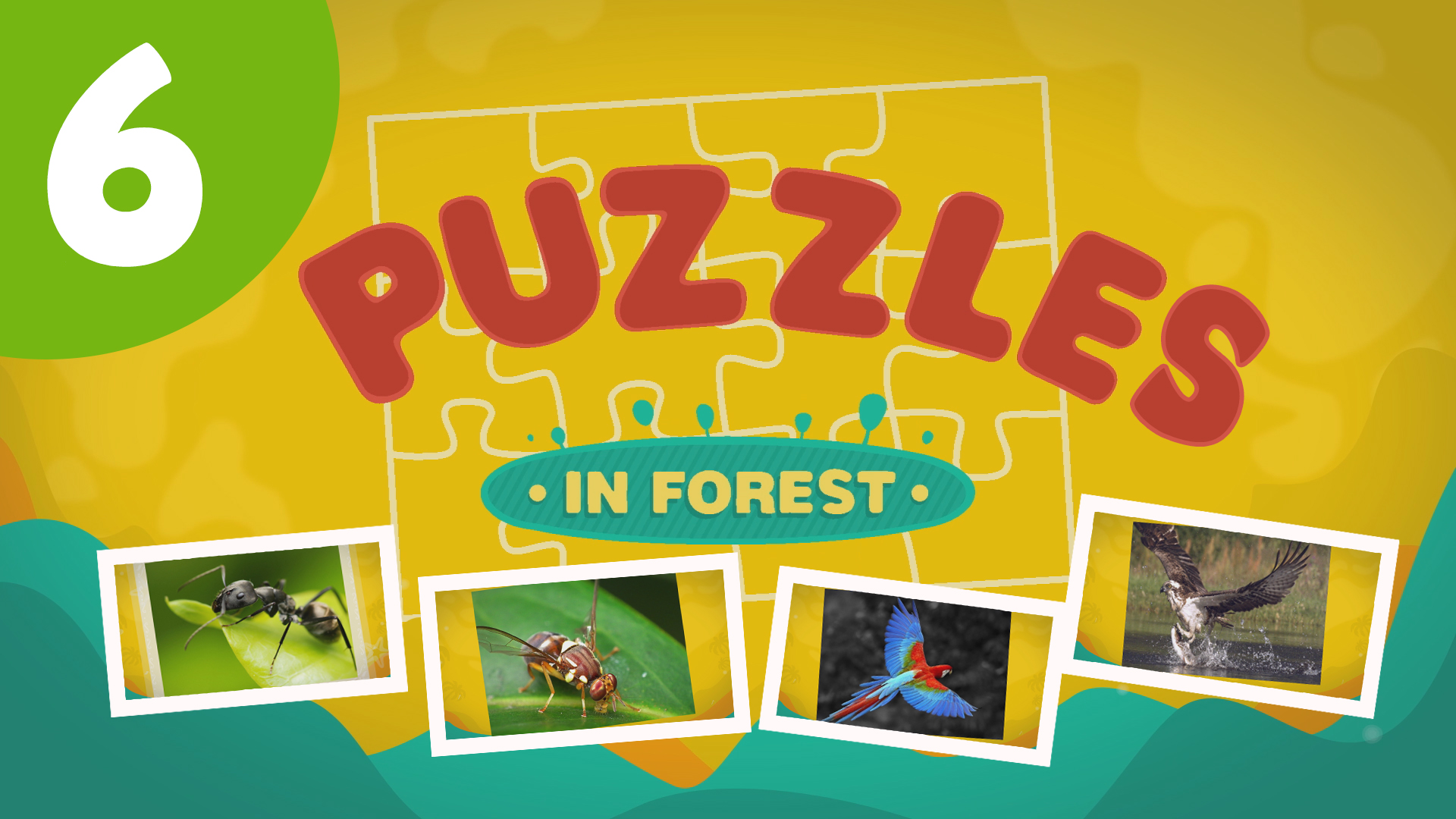 Puzzles in the Forest (ep6) Let's try and solve five different puzzles!