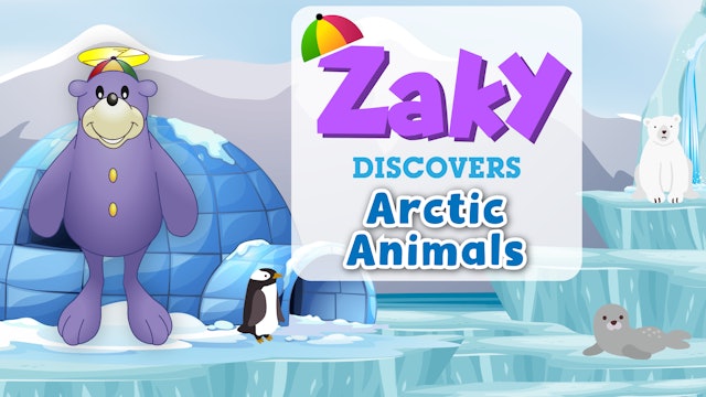 Zaky Discovers Arctic Animals