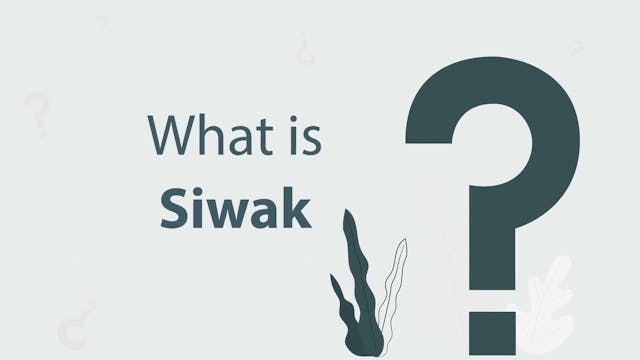 Sunnah of Siwak