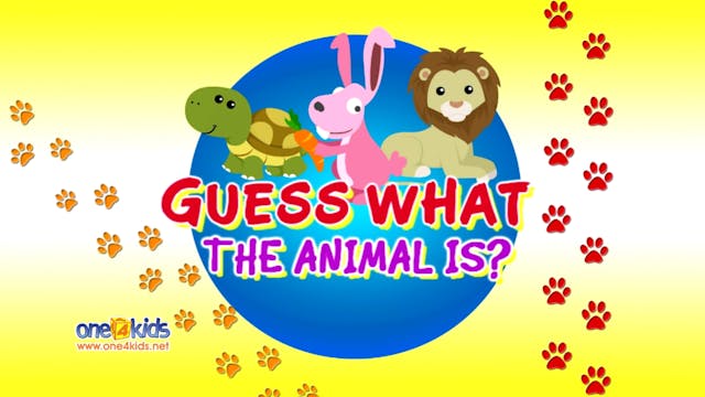 Guess What the Animal is? 3