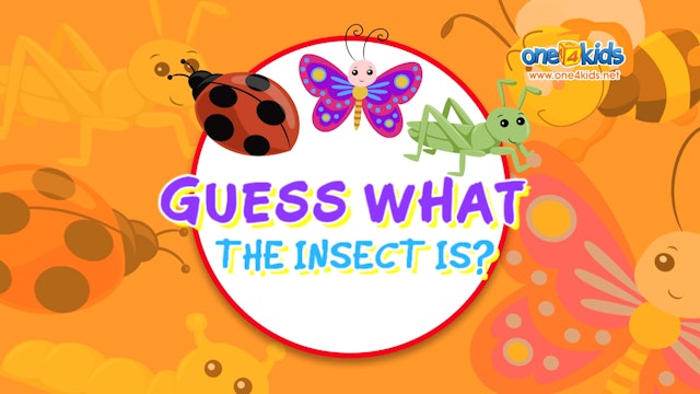 Guess What the Insect is?