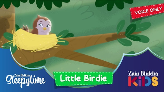 Sleepytime - Little Birdie (Voice Only) by Zain Bhikha