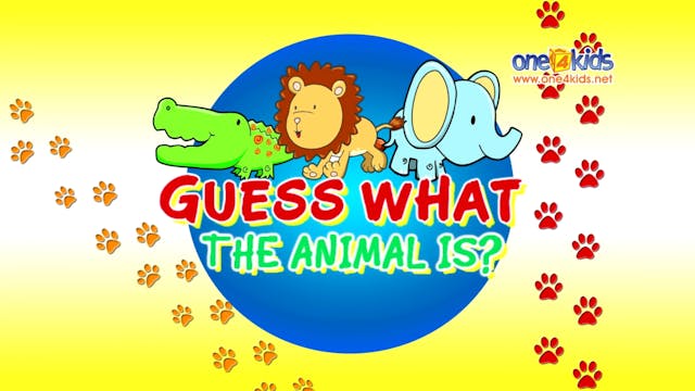 Guess What The Animal Is?