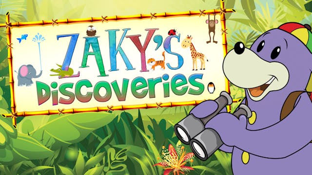 Zaky's Discoveries