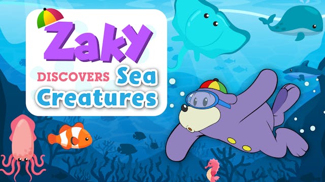 Zaky Discovers Sea Creatures